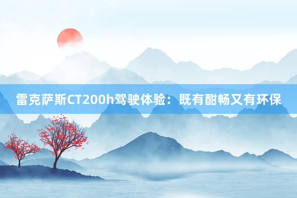 雷克萨斯CT200h驾驶体验：既有酣畅又有环保